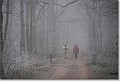 Wandelen op de Tomperweg